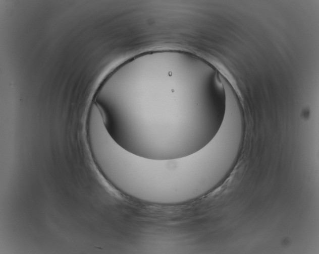 X0000094321197200711241800