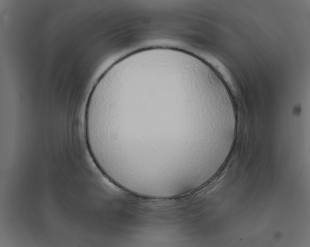 X0000094321199200711241800