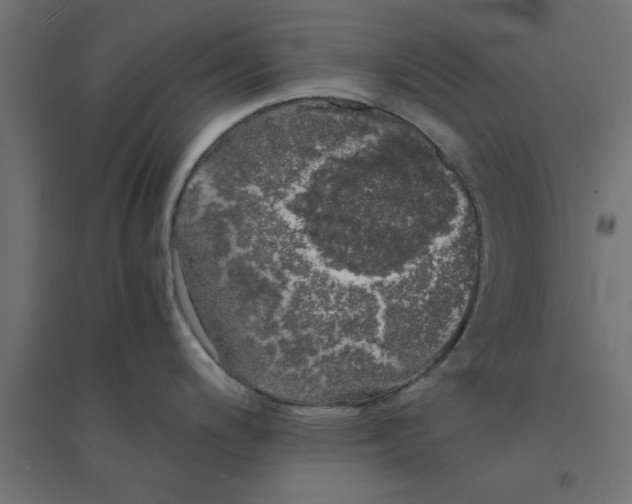 X0000094321200200711241800