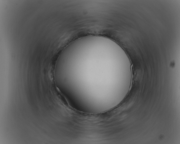 X0000094321202200711241800