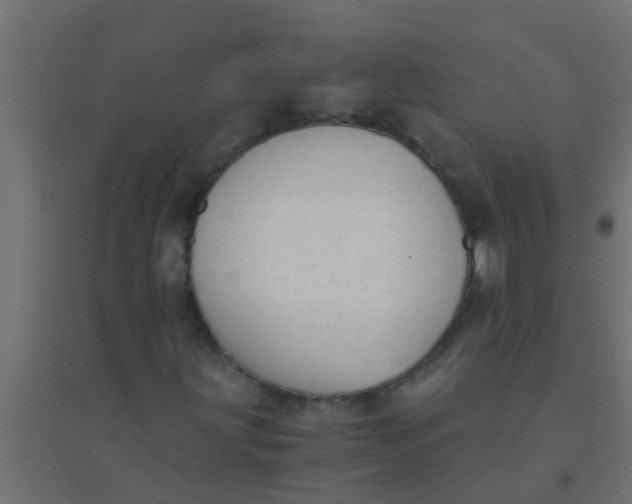 X0000094321203200711241800