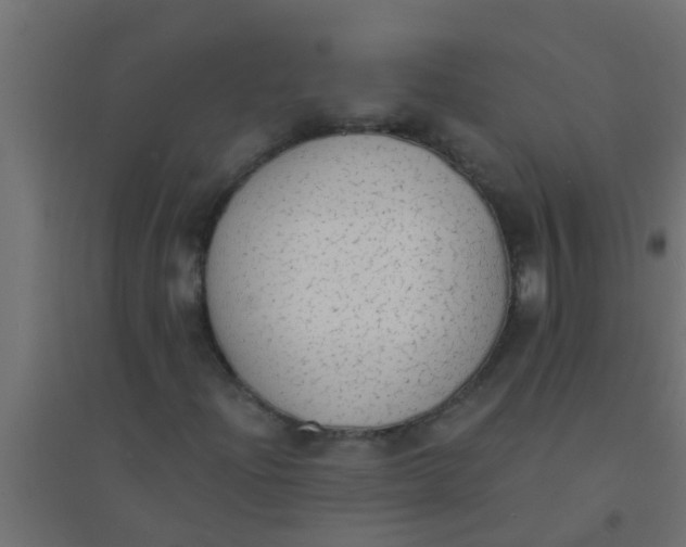 X0000094321204200711241800