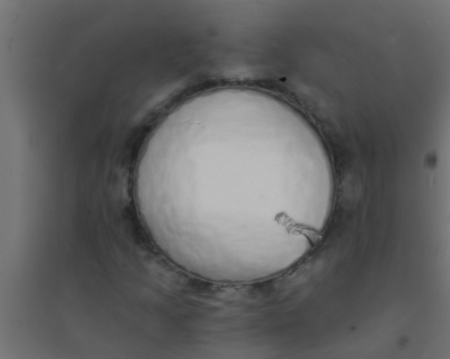 X0000094321205200711241800