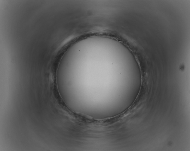 X0000094321206200711241800