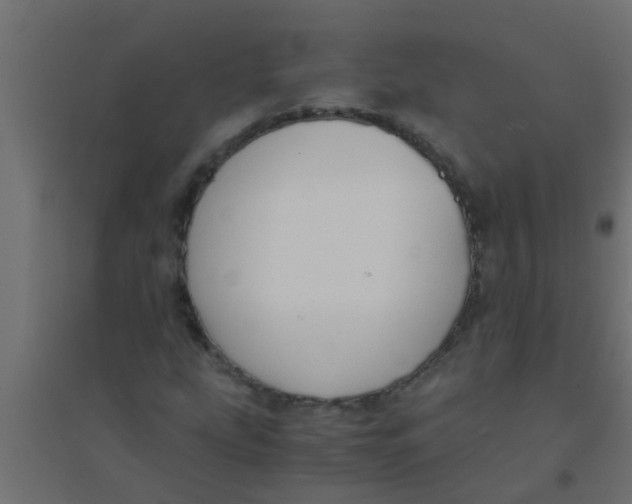 X0000094321207200711241800