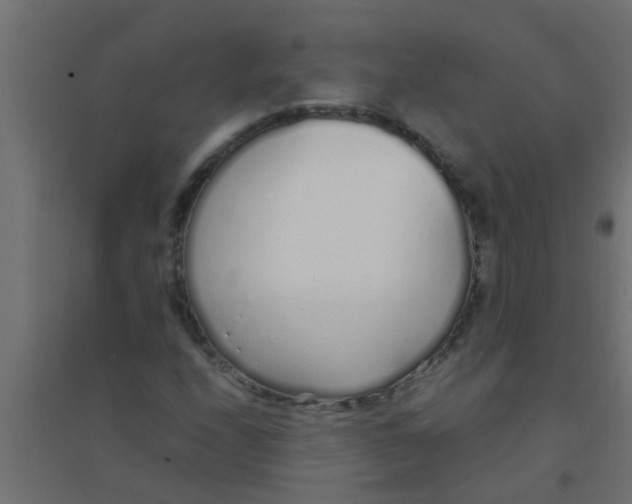 X0000094321208200711241800