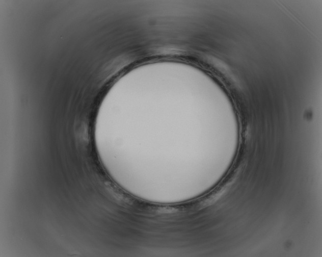 X0000094321209200711241800