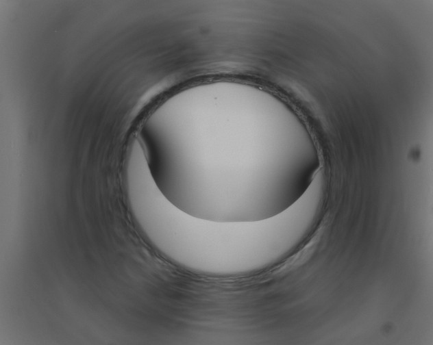 X0000094321210200711241800