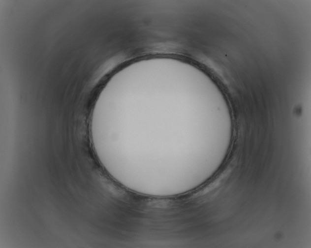 X0000094321211200711241800
