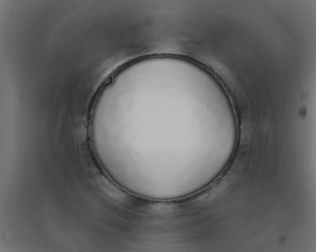 X0000094321212200711241800