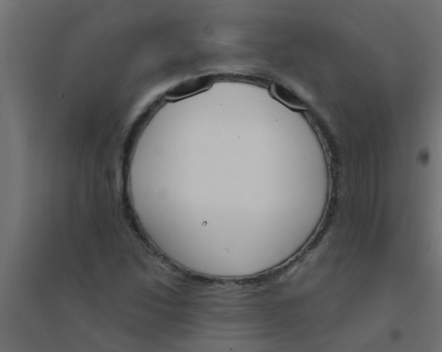 X0000094321214200711241800