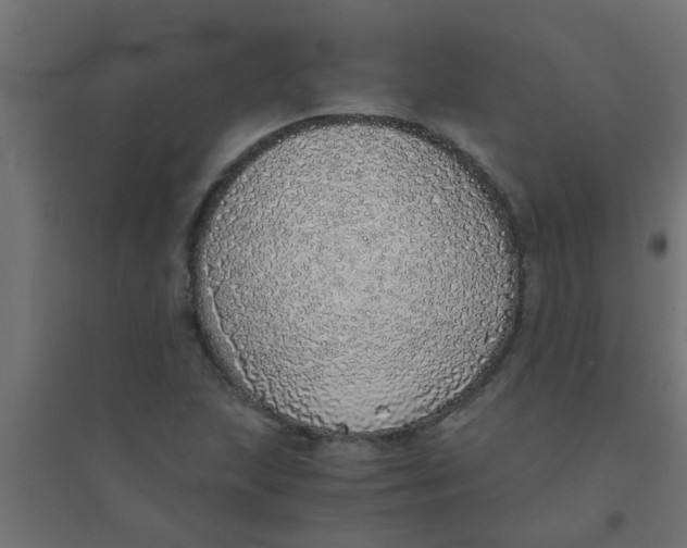 X0000094321215200711241800