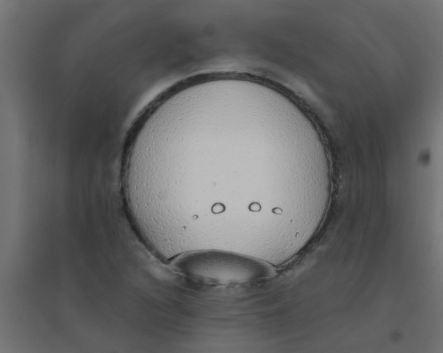 X0000094321216200711241800