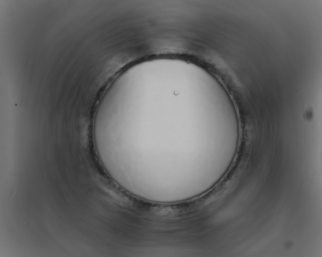 X0000094321217200711241800