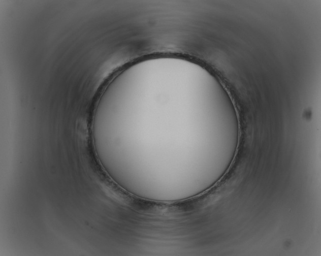 X0000094321218200711241800