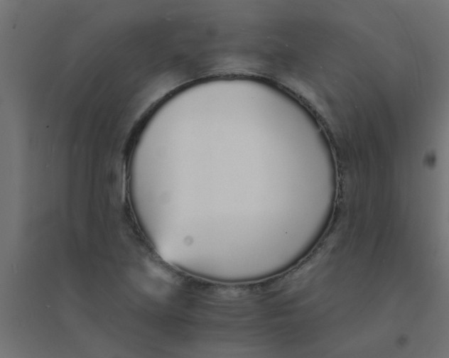 X0000094321219200711241800