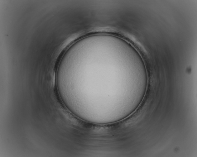 X0000094321221200711241800