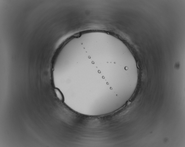 X0000094321222200711241800