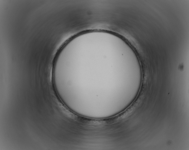 X0000094321224200711241800