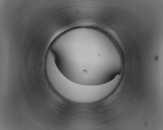 X0000094321226200711241800