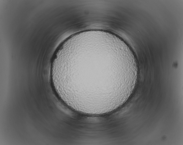 X0000094321227200711241800