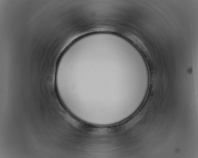 X0000094321228200711241800
