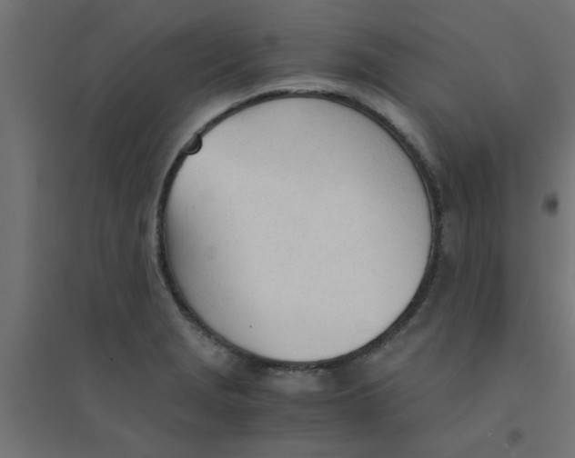 X0000094321229200711241800