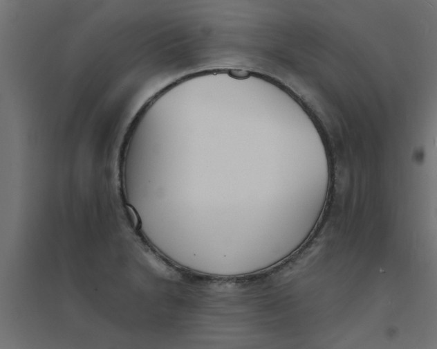 X0000094321230200711241800