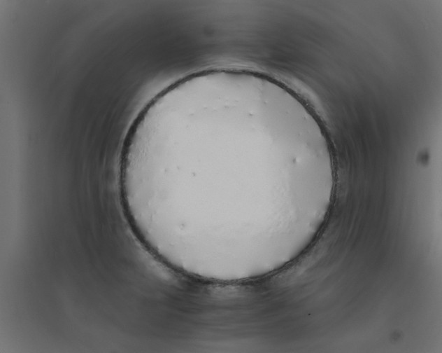 X0000094321231200711241800