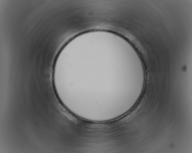 X0000094321232200711241800