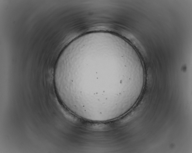 X0000094321233200711241800