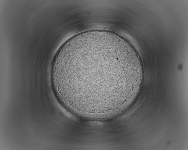 X0000094321235200711241800