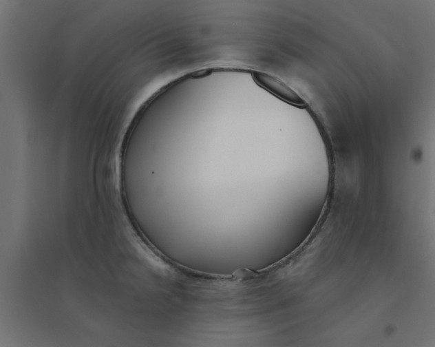 X0000094321238200711241800