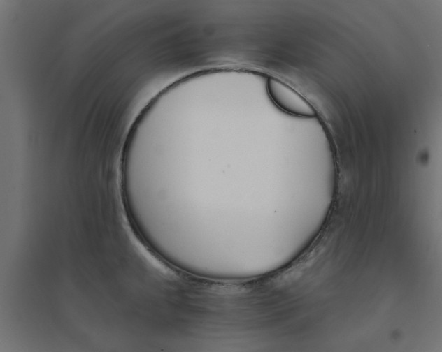 X0000094321239200711241800