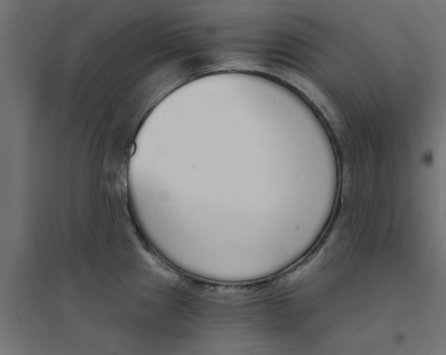 X0000094321241200711241800