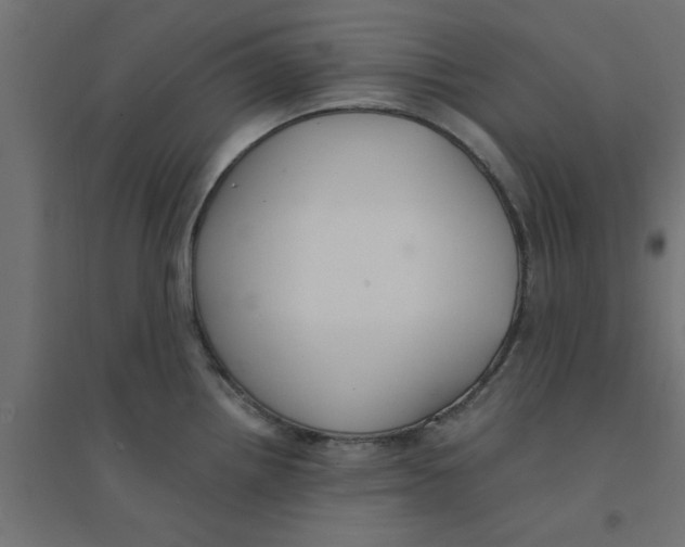 X0000094321242200711241800