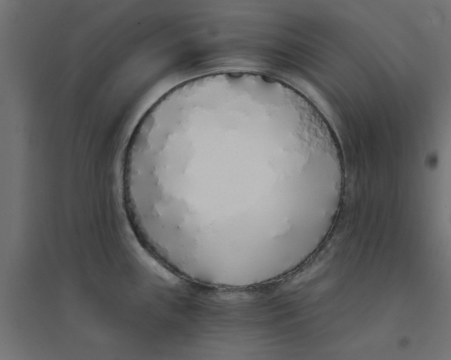 X0000094321243200711241800