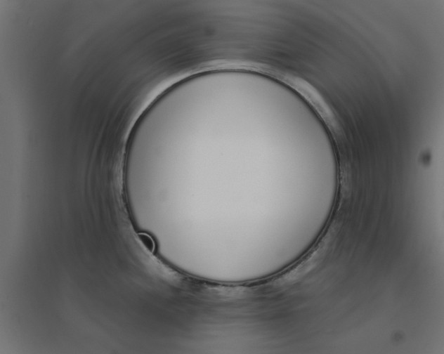 X0000094321244200711241800