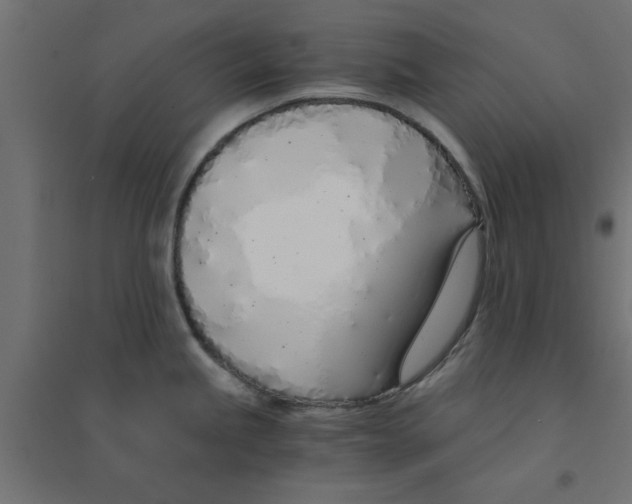 X0000094321245200711241800