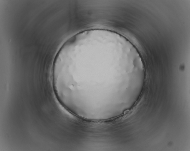 X0000094321247200711241800
