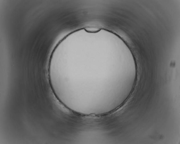 X0000094321248200711241800
