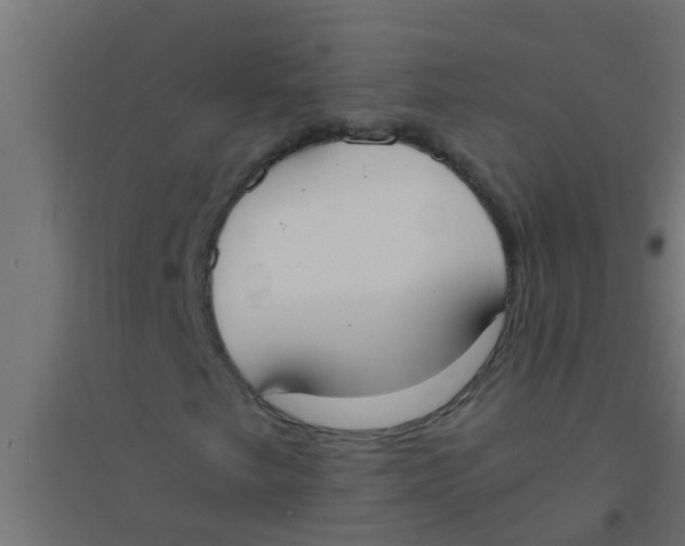 X0000094321249200711241800