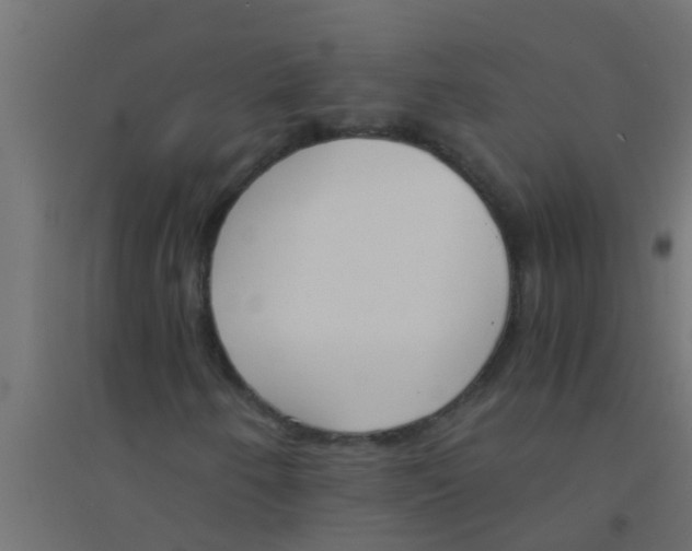 X0000094321250200711241800