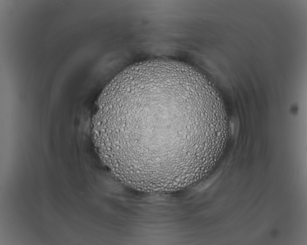 X0000094321251200711241800