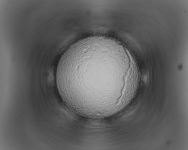 X0000094321252200711241800