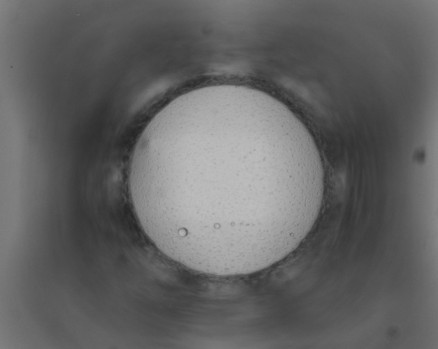 X0000094321254200711241759