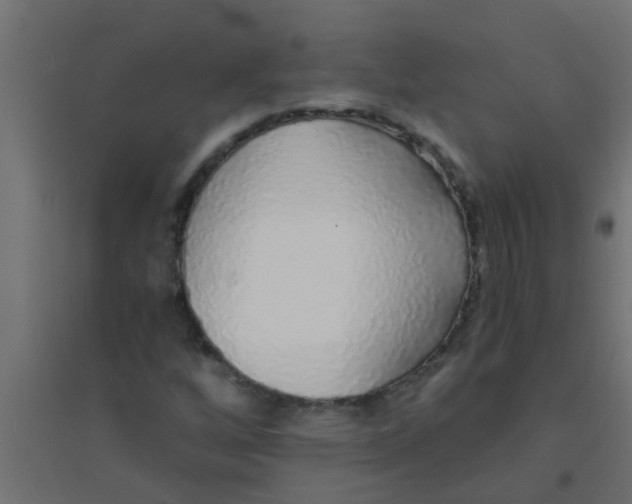 X0000094321256200711241759