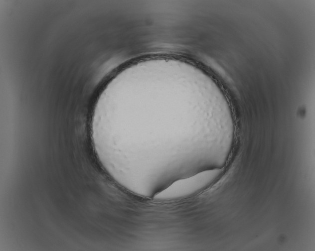 X0000094321259200711241759