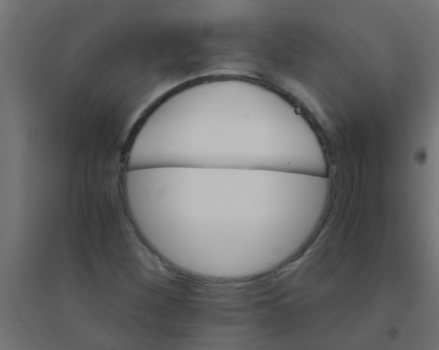 X0000094321260200711241759