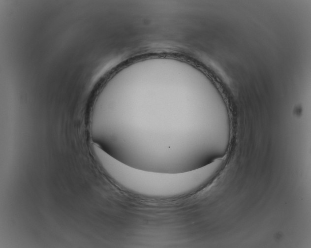 X0000094321261200711241759
